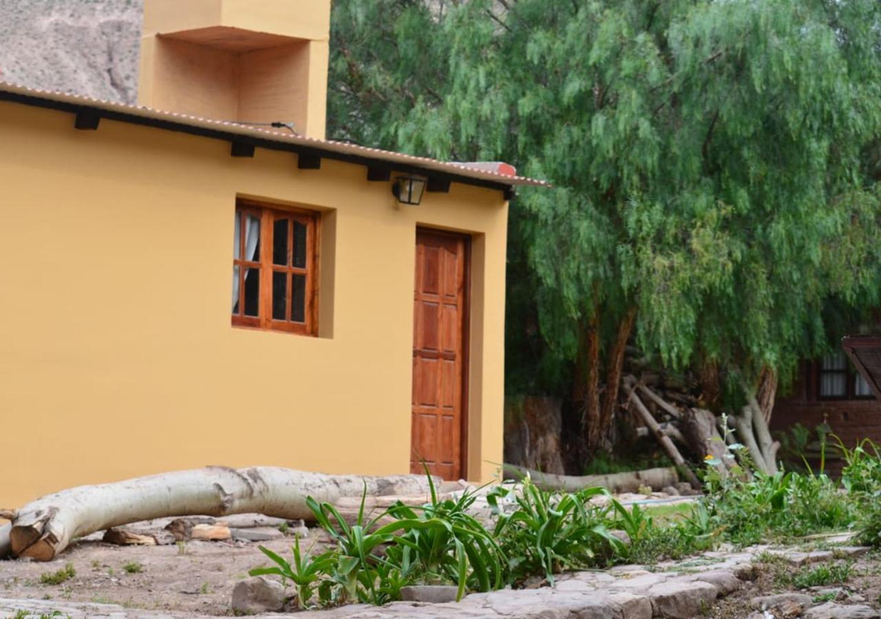 Hostal La Albahaca Tilcara Extérieur photo
