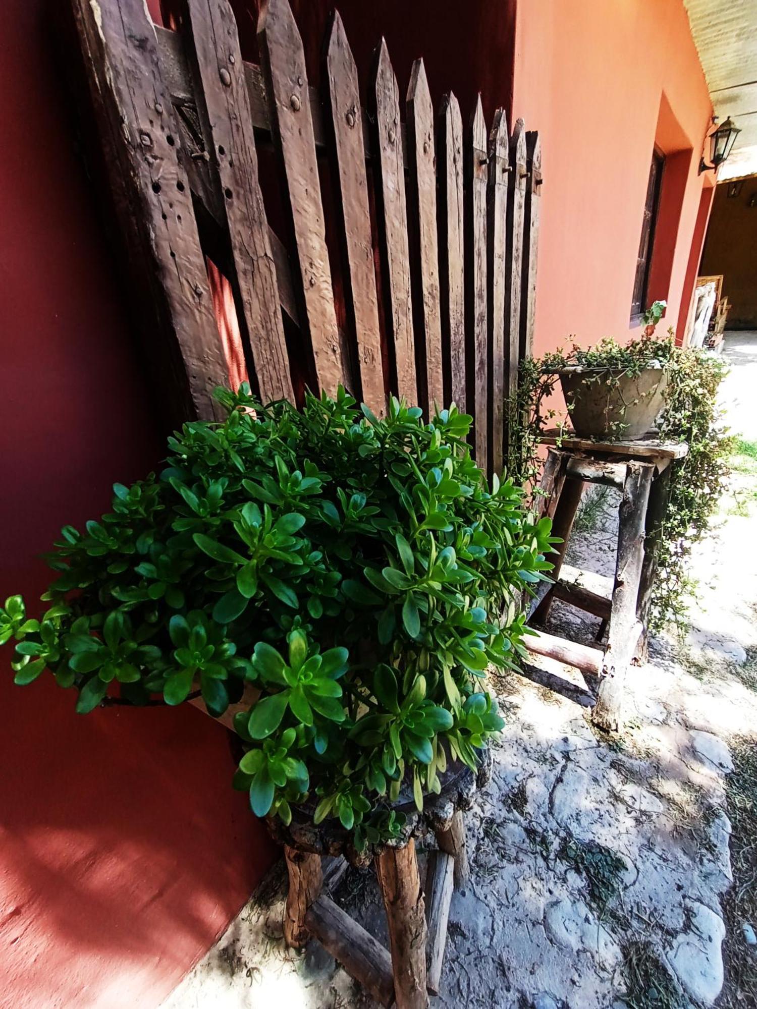 Hostal La Albahaca Tilcara Extérieur photo